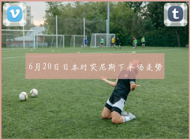 6月20日日本对突尼斯下半场走势