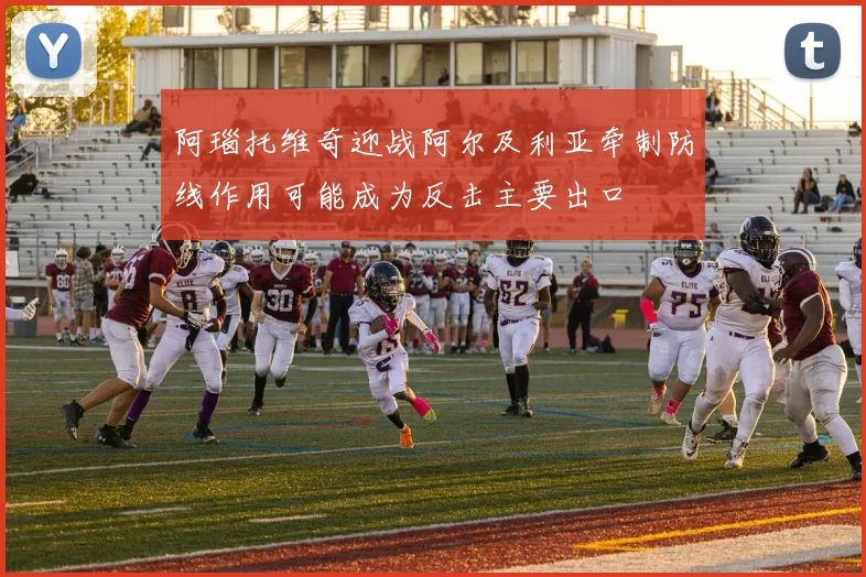 阿瑙托维奇迎战阿尔及利亚牵制防线作用可能成为反击主要出口