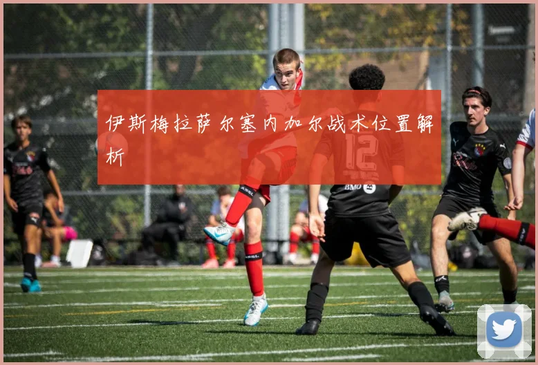 伊斯梅拉萨尔塞内加尔战术位置解析