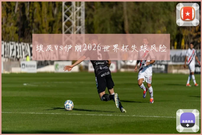 埃及vs伊朗2026世界杯失球风险